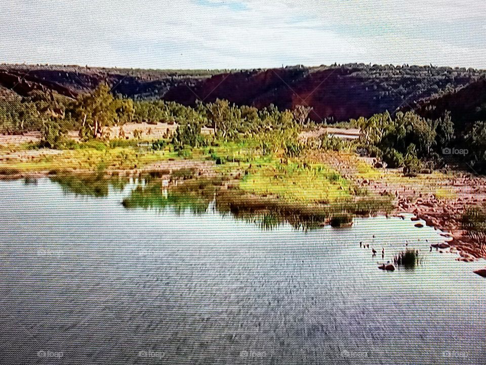 Summer morning on the river