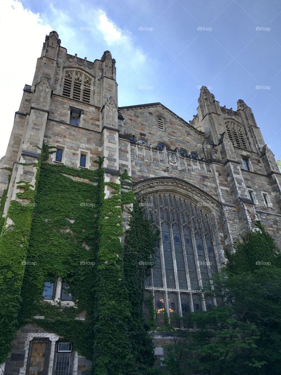 University of Michigan 
