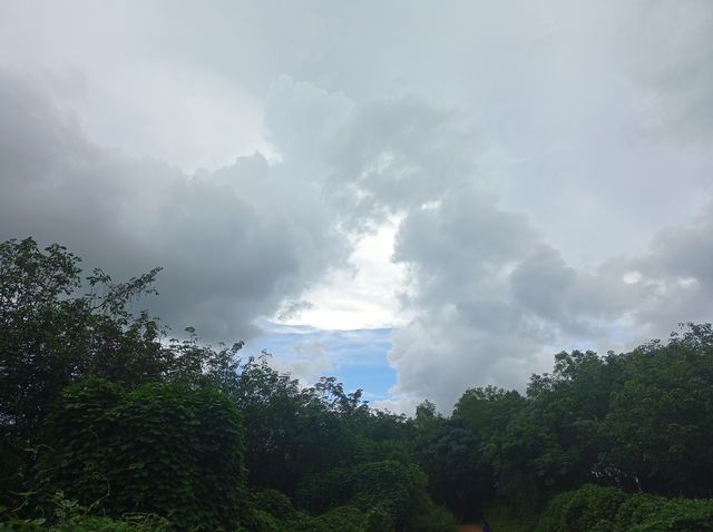 Lovely Nature