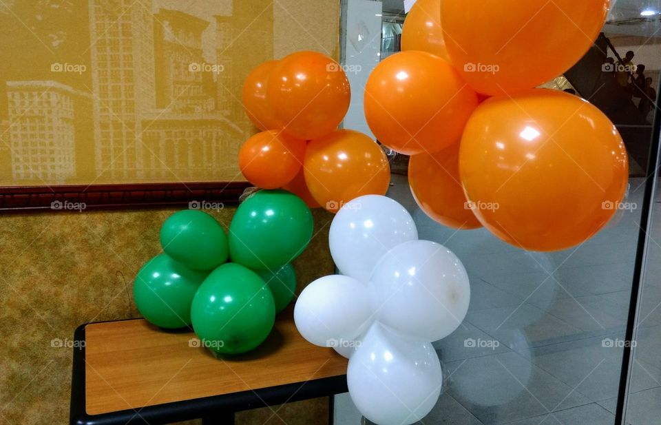 Tricolours - Saffron, white and Green depicting colours of our Indian Flag 🇮🇳....pride of our Country 🧡🤍💚.Celebrating #IndependenceDay on August 15th. 
#happyindependenceday🇮🇳🦚