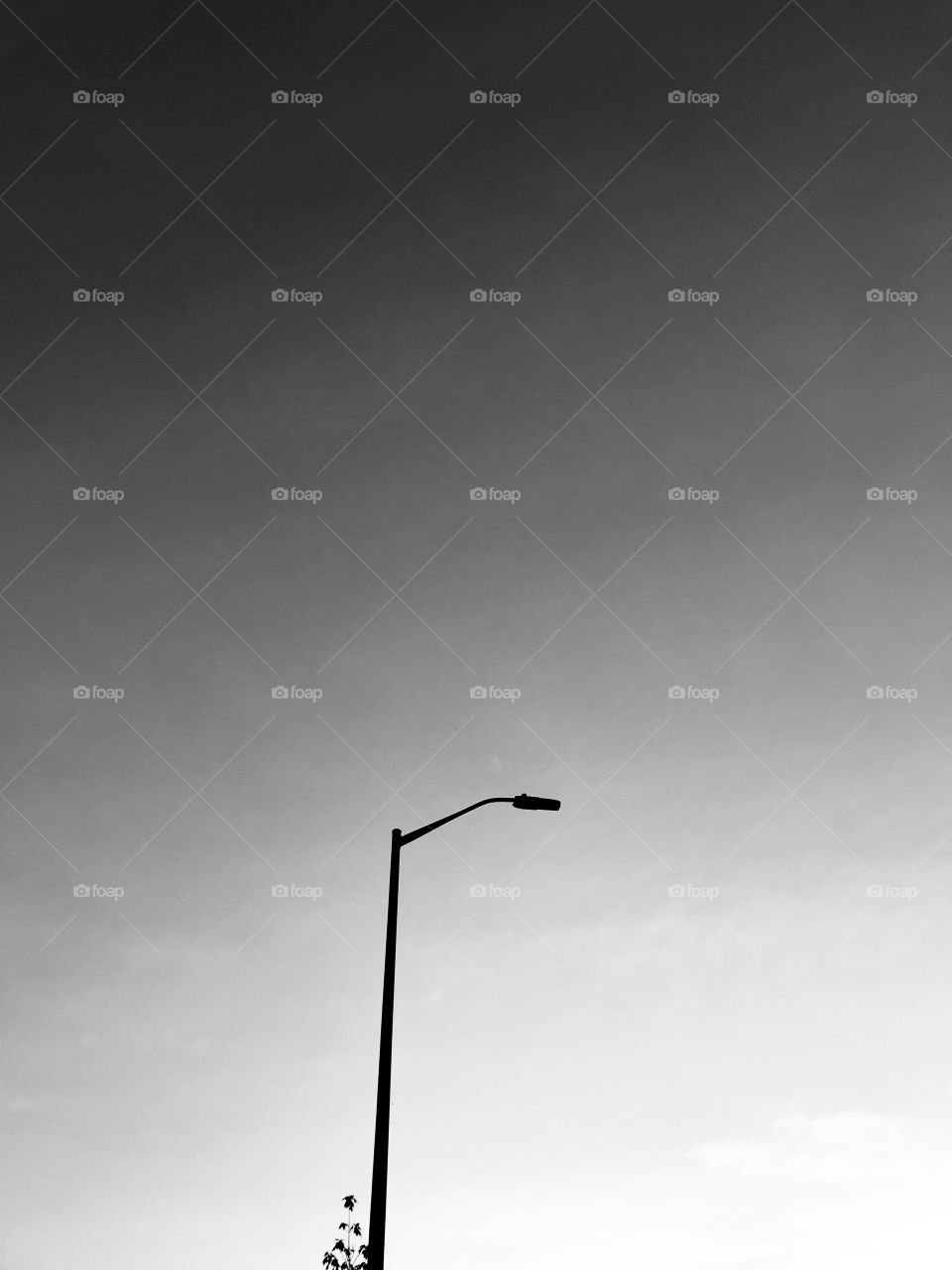 A lonely lamppost, standing alone, yet with its light, shines for all to see. Be bold. Shine bright. 😶‍🌫️