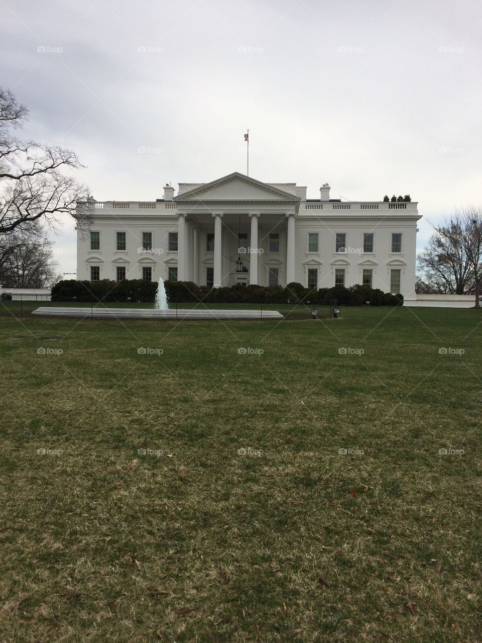 Whitehouse