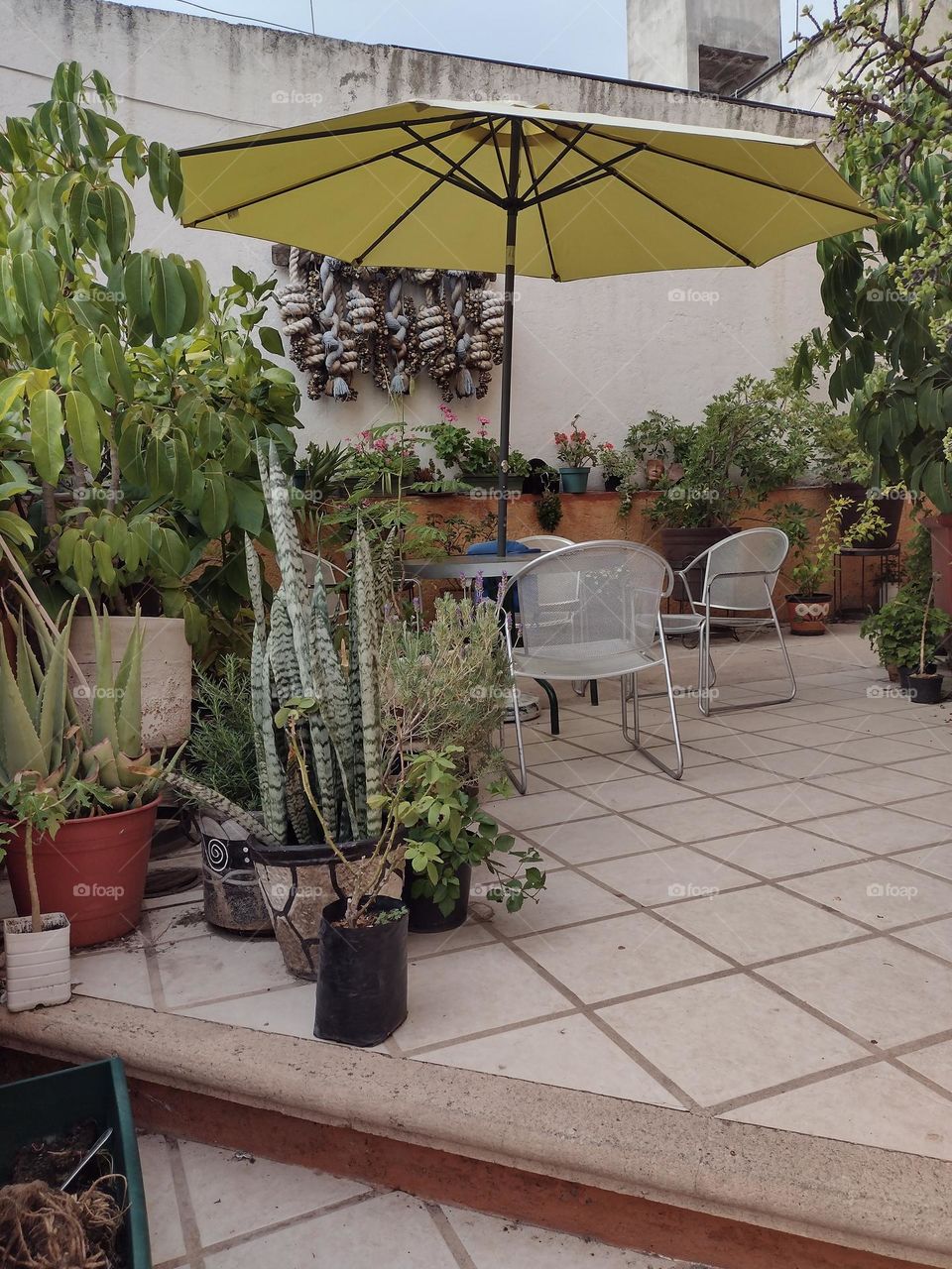 Mesas y Sillas en la Terraza