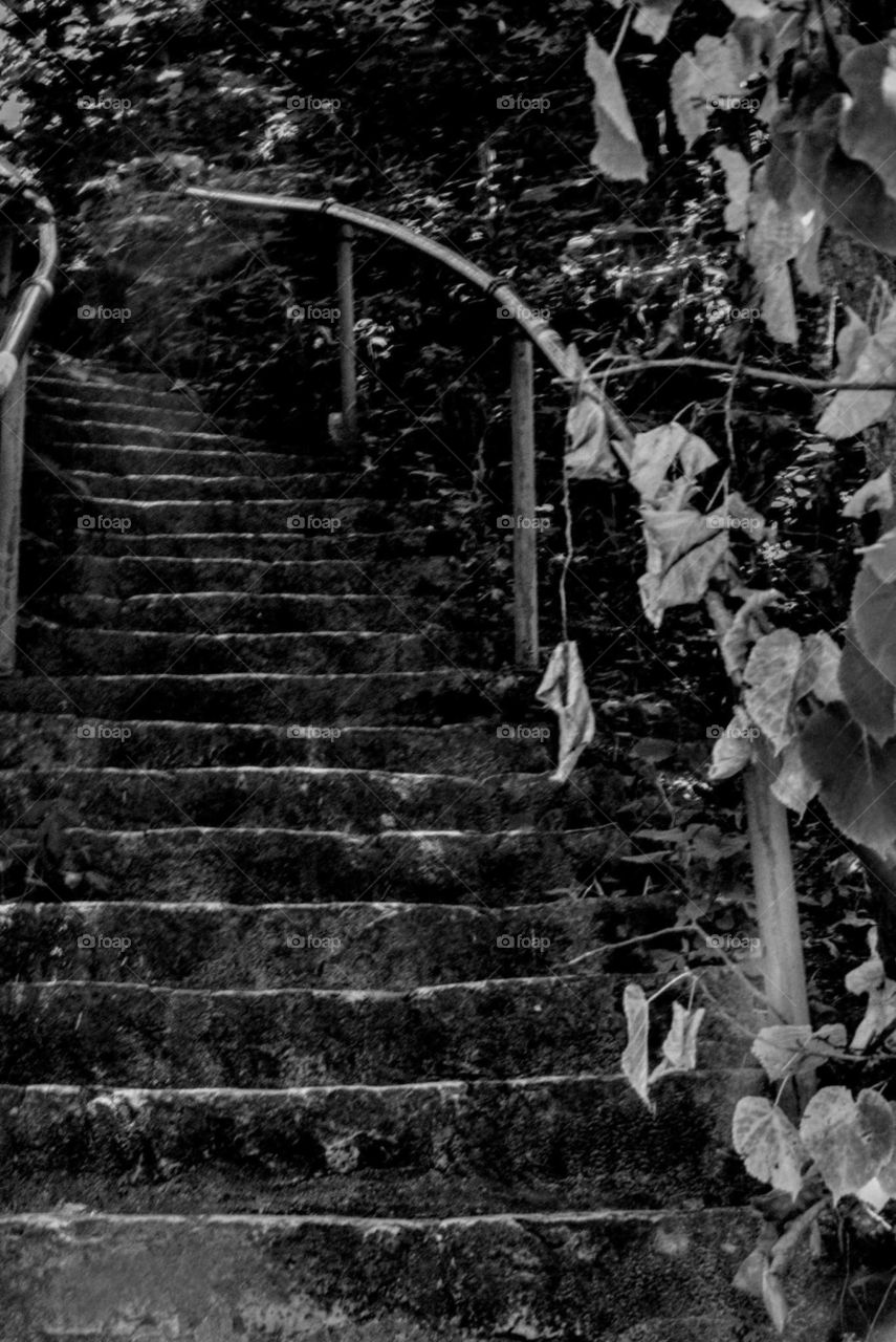 Beautiful Black & White Staircase "Wandering Climb"