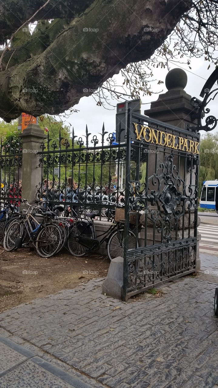 at the vondelpark in amsterdam