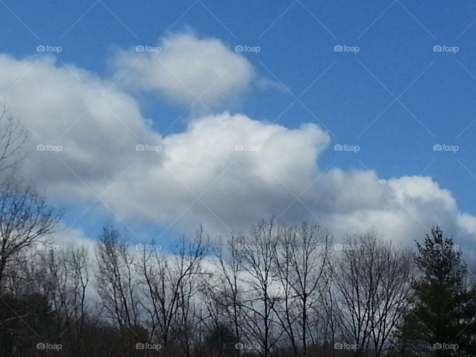 fluffy clouds in a blue sky