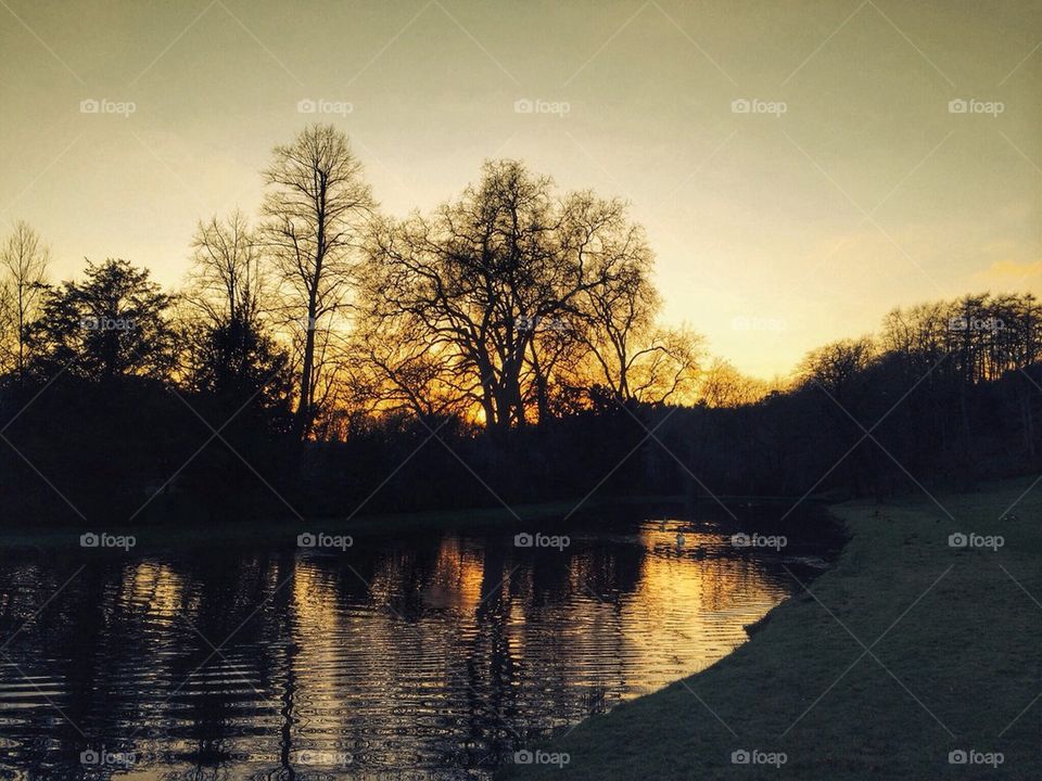 Late December sunset, Painshill, Surrey, England