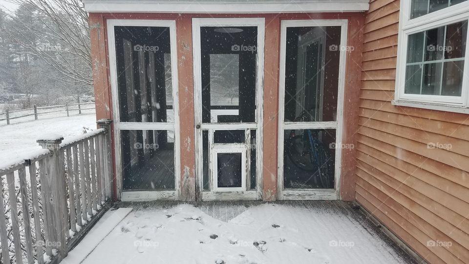 House, Window, Door, Architecture, Home