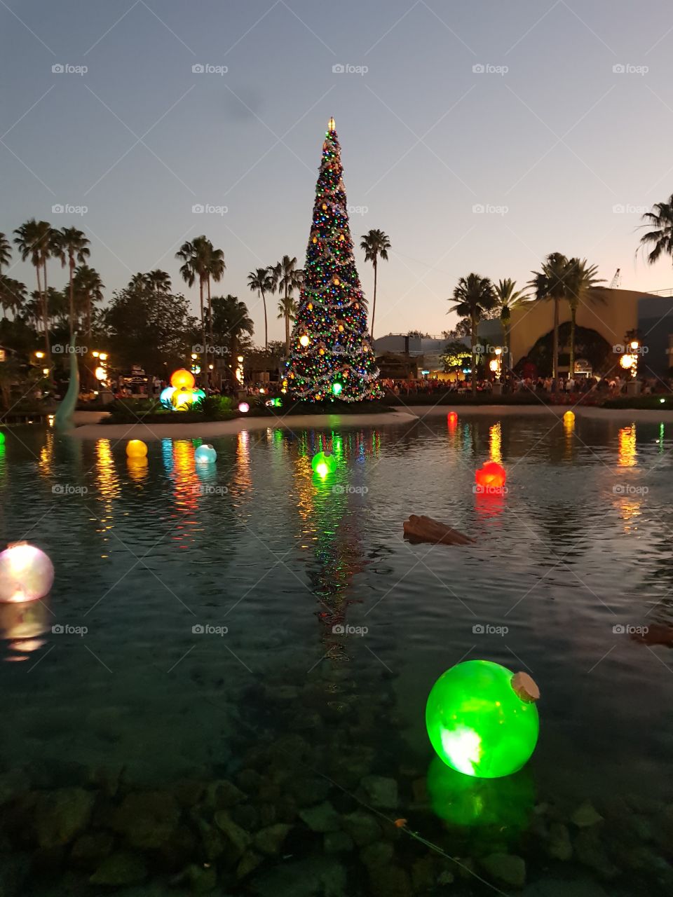 Hollywood studios, Florida, at Christmas