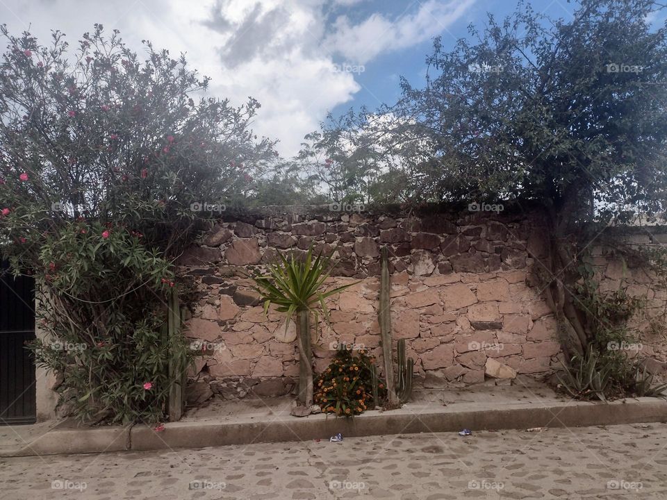 stone wall in a rustic Town/ Barda de Piedra en un Pueblo