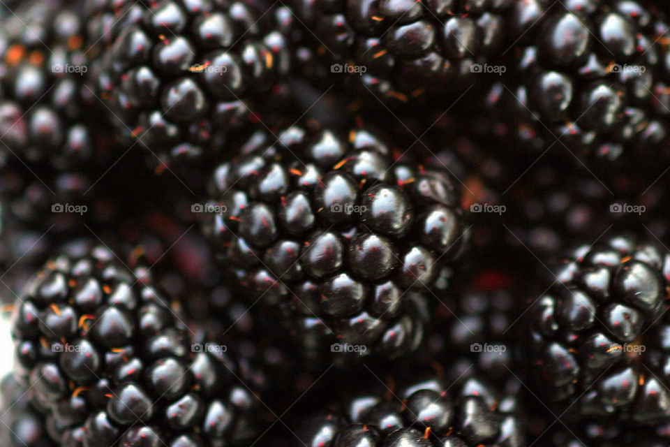 Blackberries
