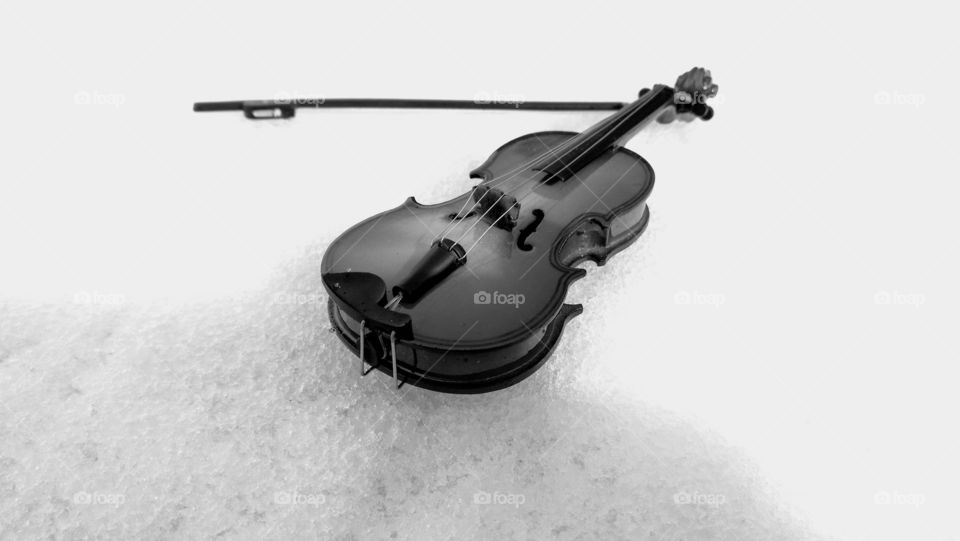 #violin#stringed instrument#no person