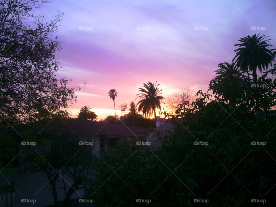 California Sunsets