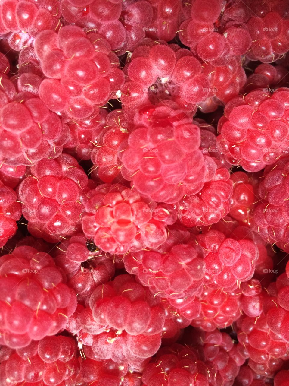 Full frame of fresh raspberries