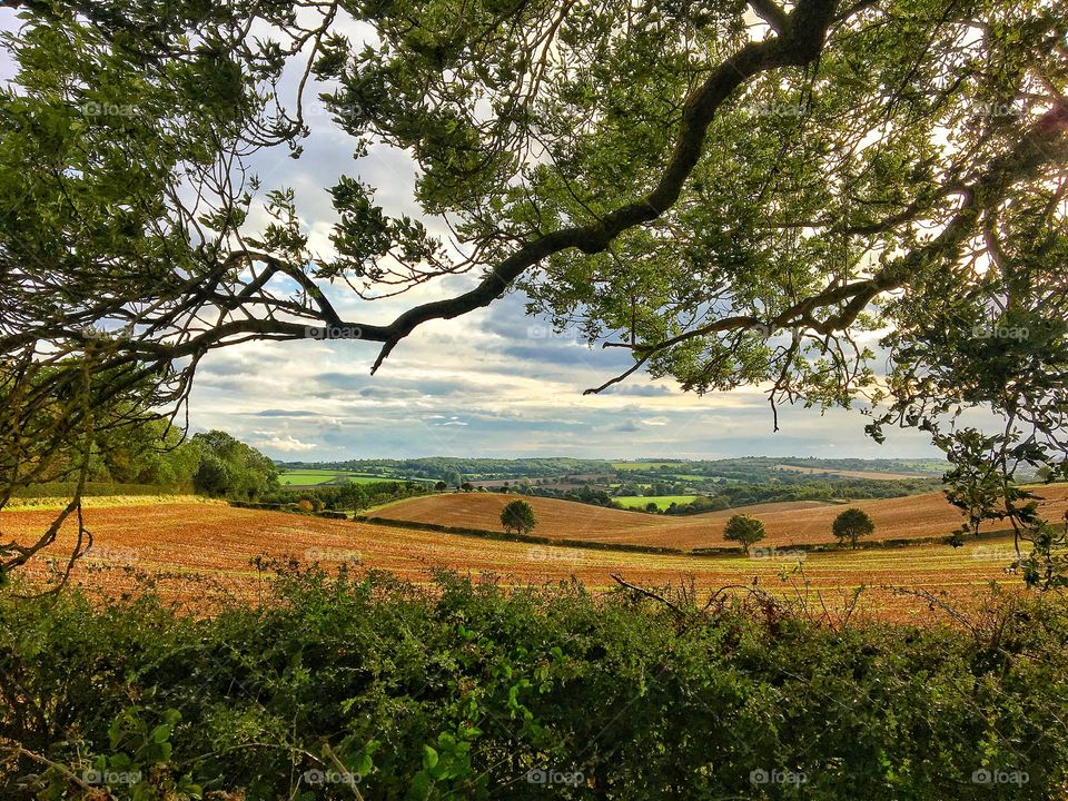 English countryside 