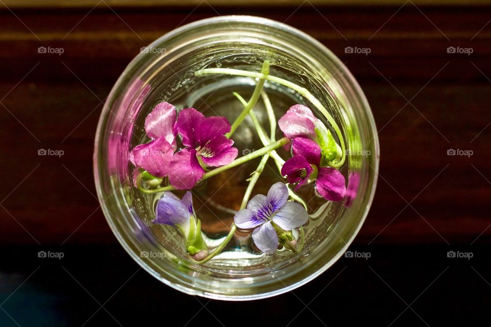 Little wild violets floating in water in a small mason jar