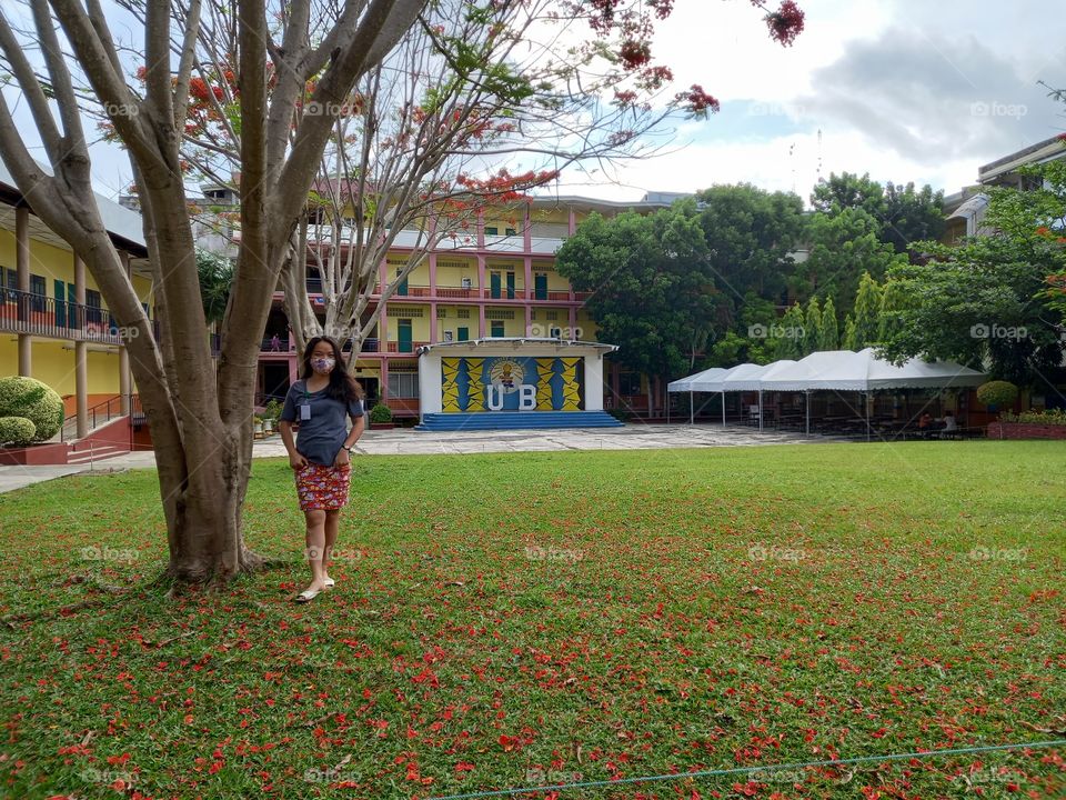 #firetrees #firetreesinbloom #naturespeaks