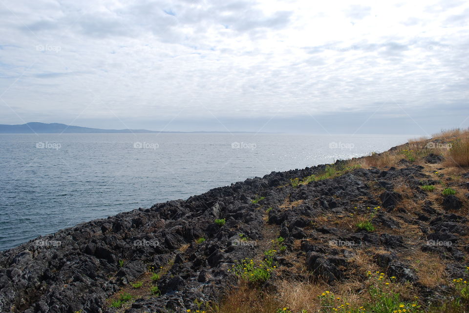 Rocky coast