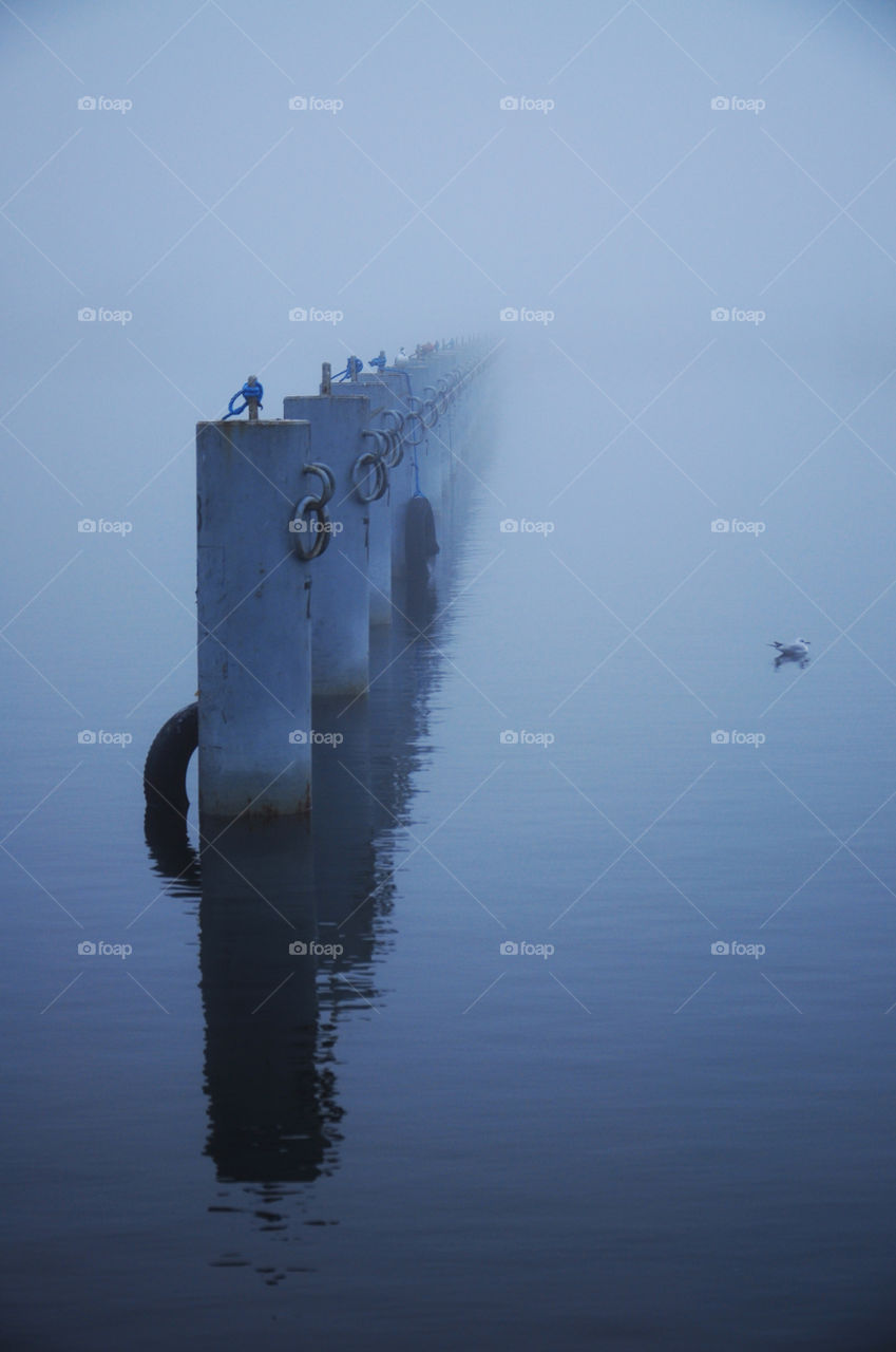 foggy morning in the winter port in gdynia, poland