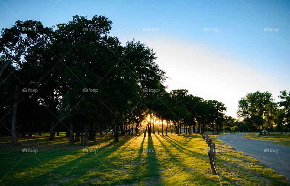 Sunset at a park in Texas with some interesting shadows.