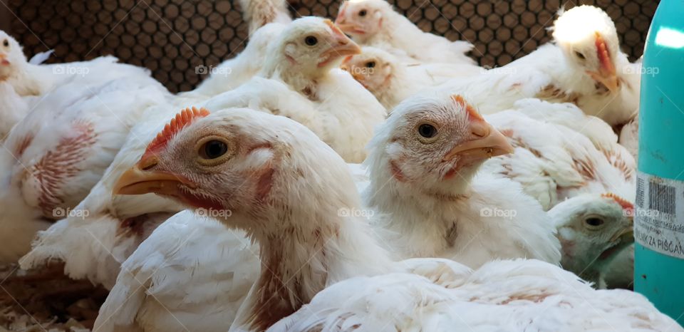 Why are all looking at me?