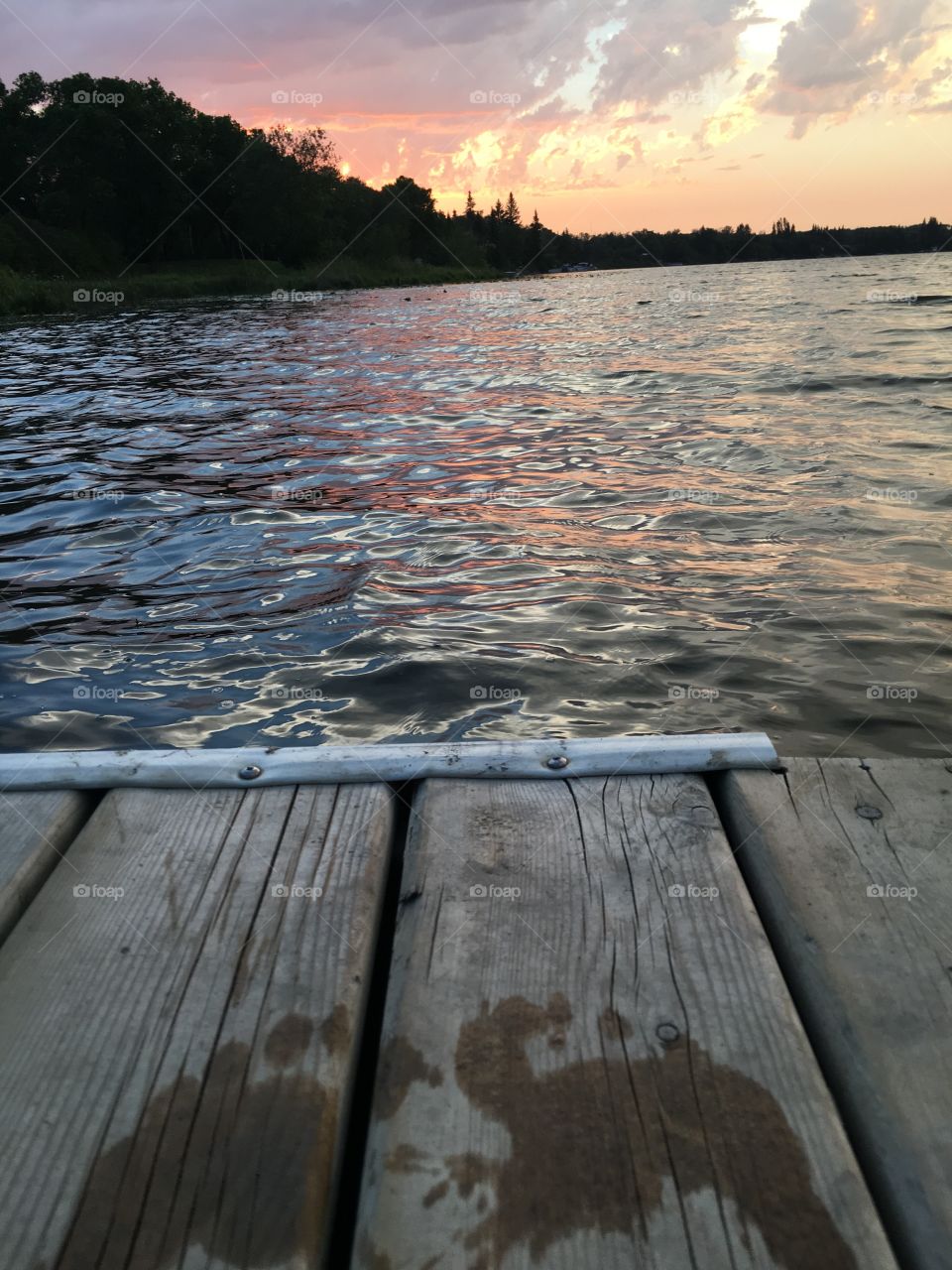 Water, Wood, Nature, No Person, Travel