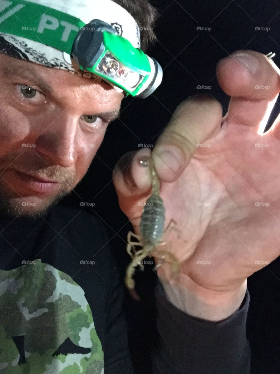 We found 15 scorpions at our campsite