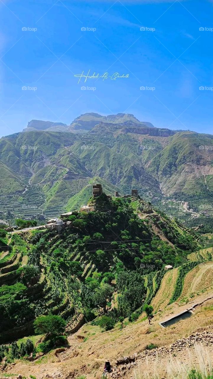 A very beautiful picture, and there is no better picture than it. There is no better picture of green herbs and colorful, red and white roses than it. Glory be to God, the natural and picturesque view, and there is no more