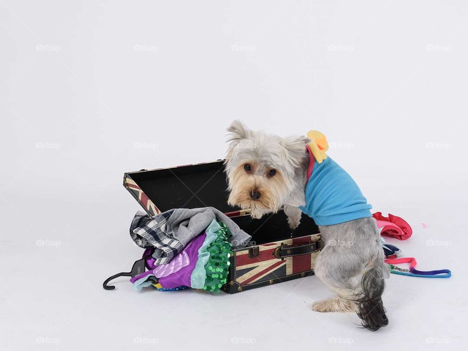 Suitcase for holiday Eduardo and Elisabett