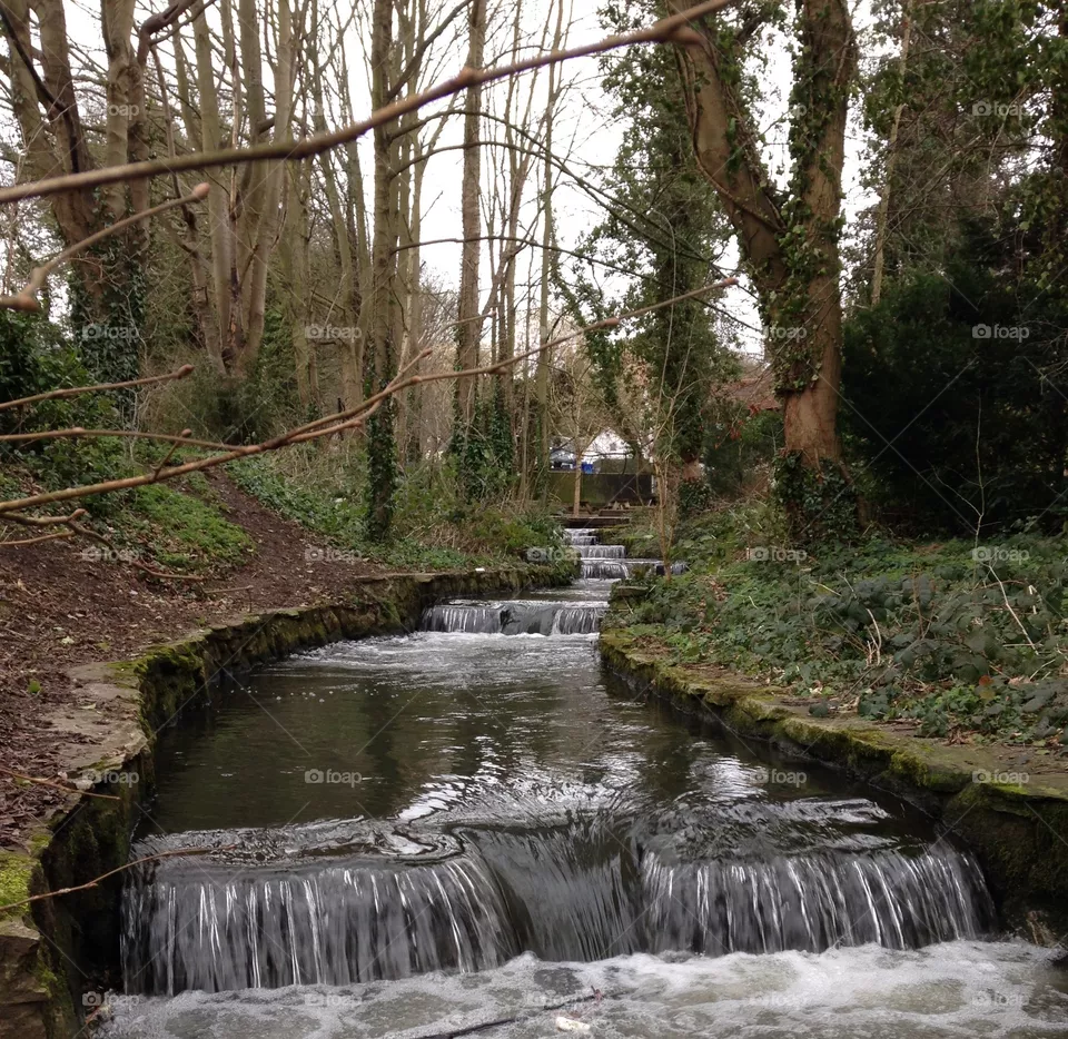 Stream
