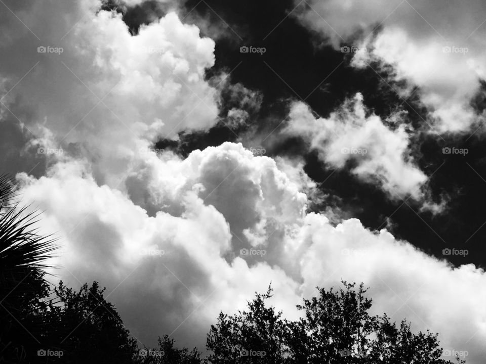 Black and white photo of the clouds