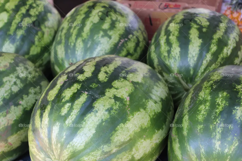 Watermelon