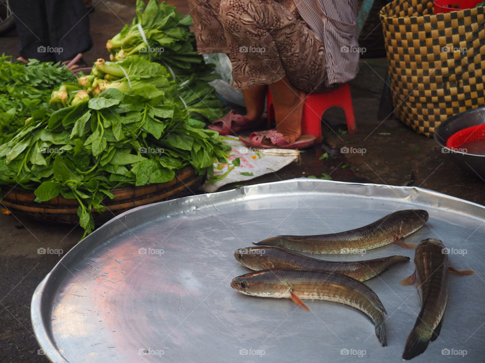 Live fish on a market in Vietnam