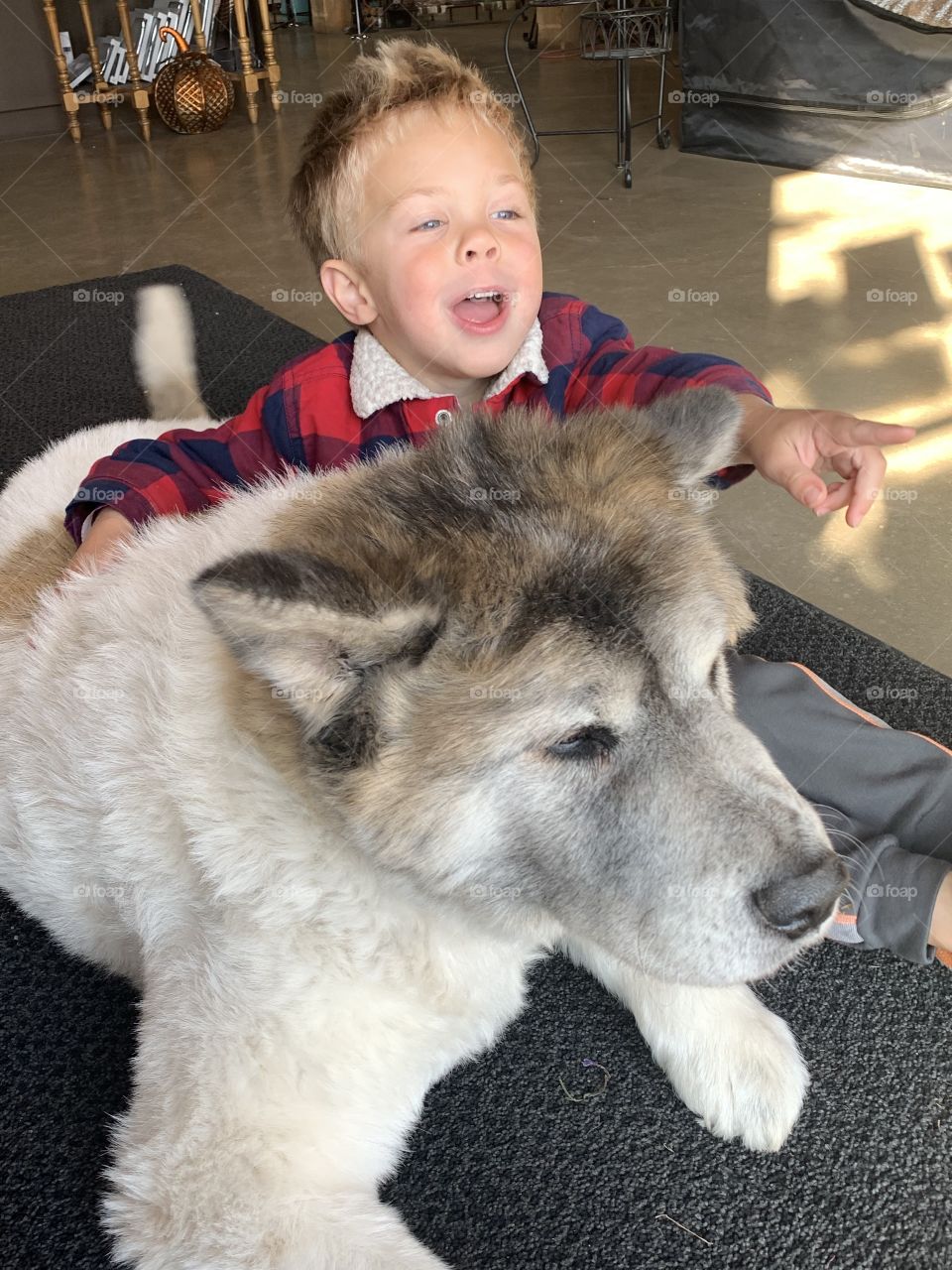 My son and a dog 
