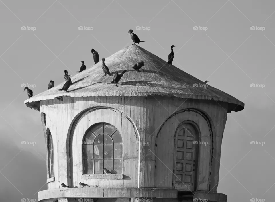 architecture