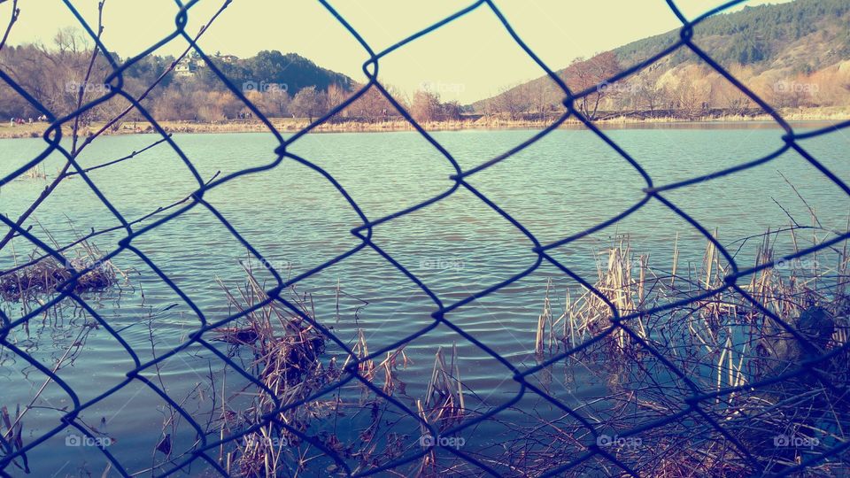 Barbed wire view, landscape