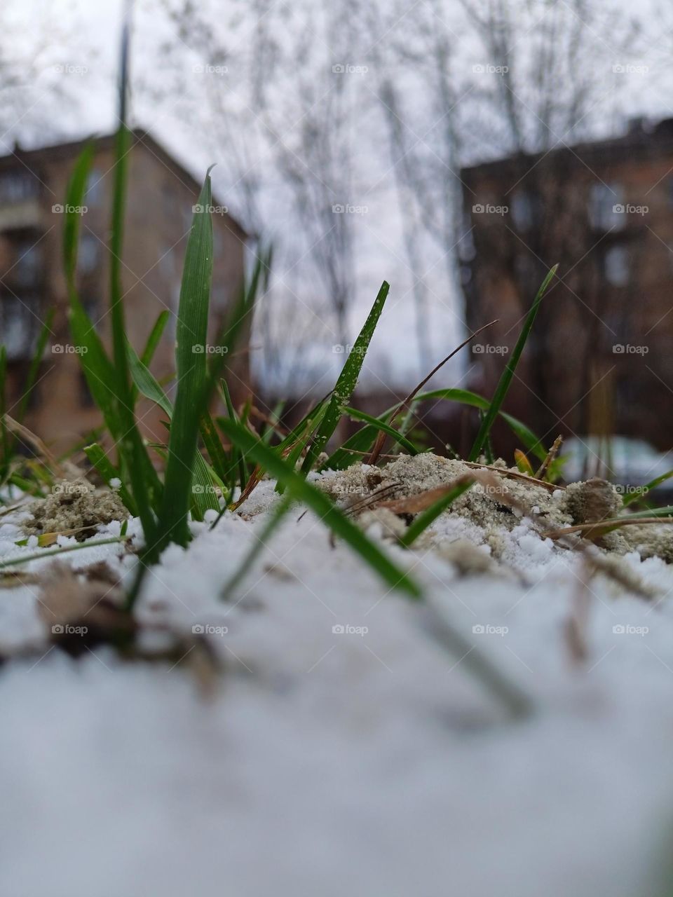 The first snow,autumn,October,green blades of grass, snow on the ground,snow on the grass, street, stone houses,urban landscape