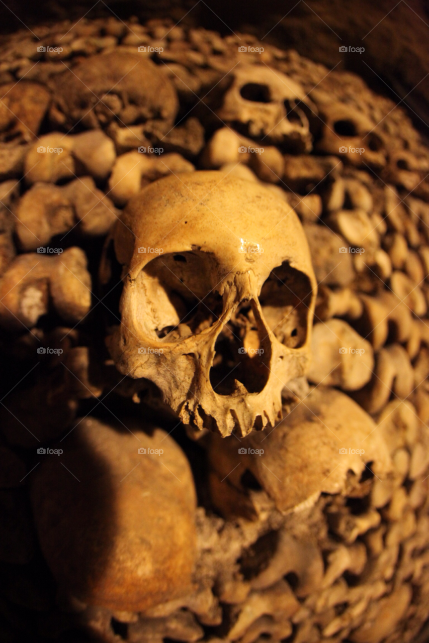 skull bones paris catacombes by gary.collins