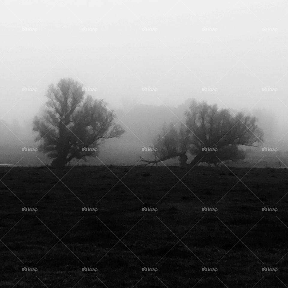 Outcasts sticking in twin constellation..