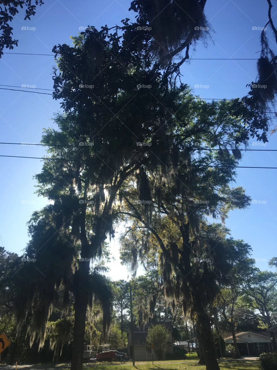 Nature