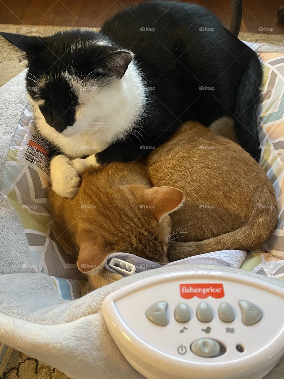 Taking over the bouncer 