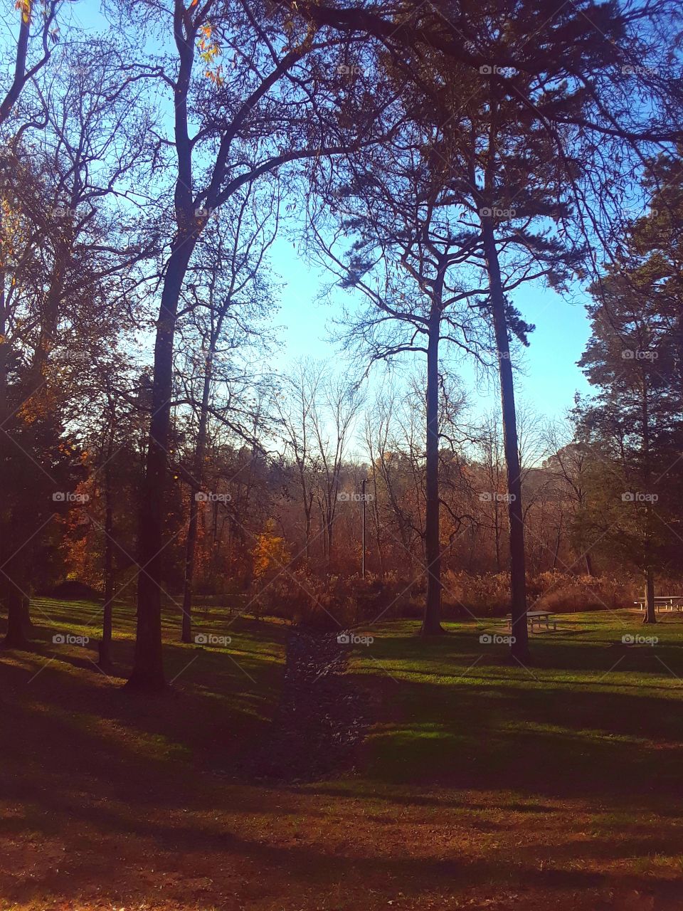 The Path That Leads To Autumn