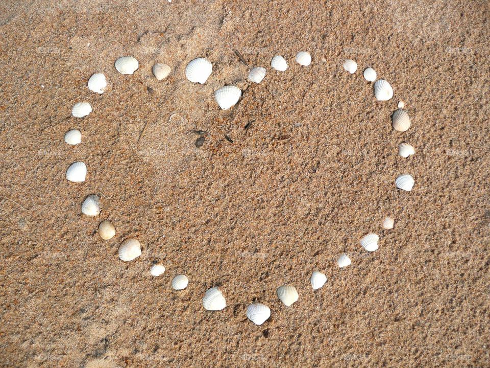 heart of seashells