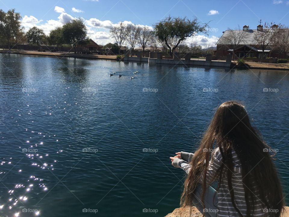 Feeding the ducks in the pond