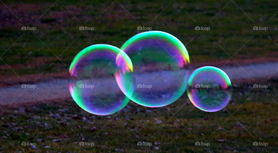 Bubbles 