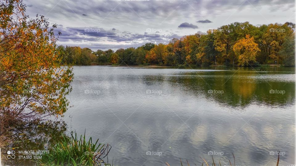 Polish golden autumn
