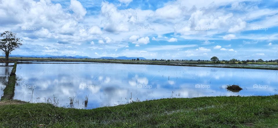 Reflection of the sky