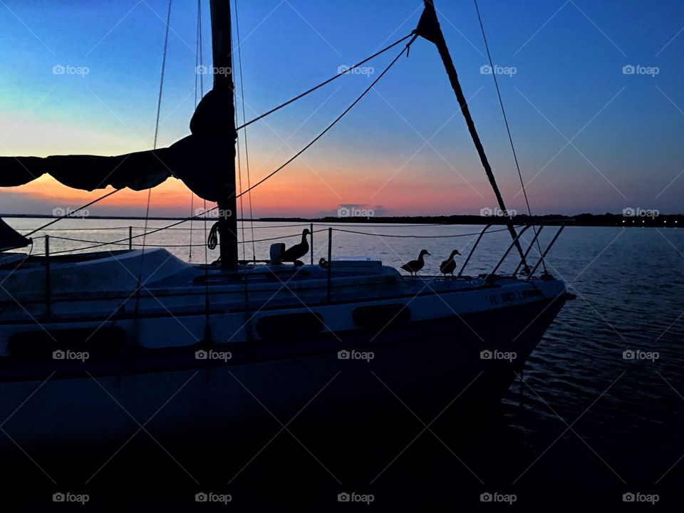 Water, Sea, Ocean, Watercraft, Beach