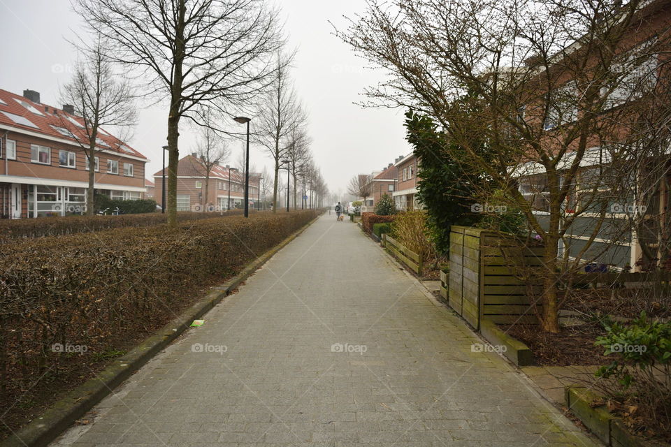 A common street
