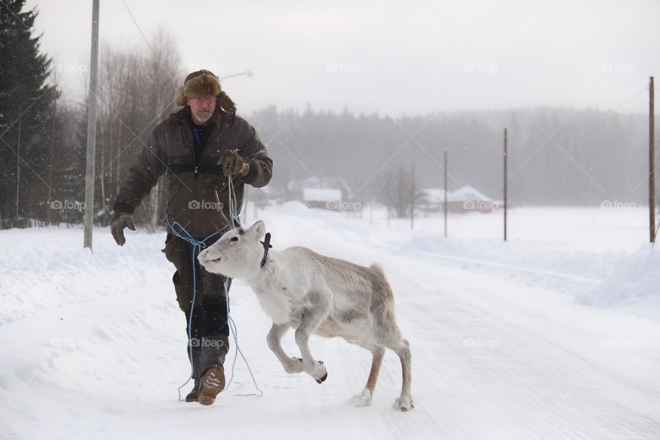 old man with reindeer